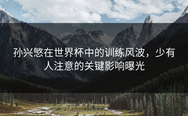 孙兴慜在世界杯中的训练风波，少有人注意的关键影响曝光