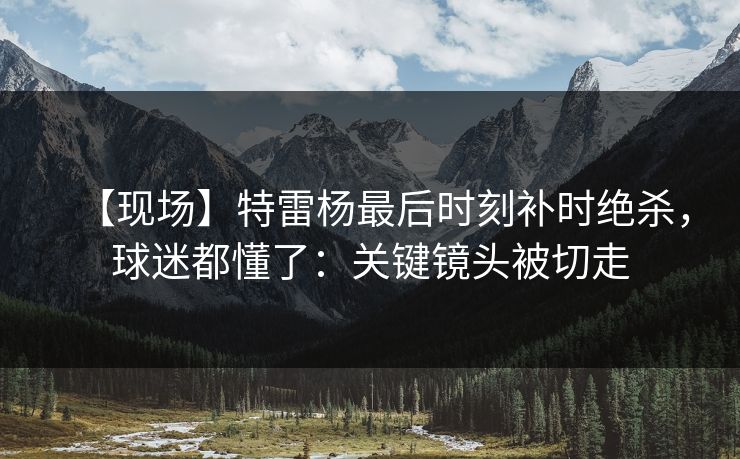 【现场】特雷杨最后时刻补时绝杀，球迷都懂了：关键镜头被切走